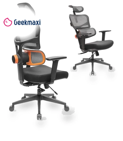 Ergonomic Chair with Adaptive Lower Back Support, Adjustable Armrest and Headrest — Back & Seat Cushions, NEWTRAL