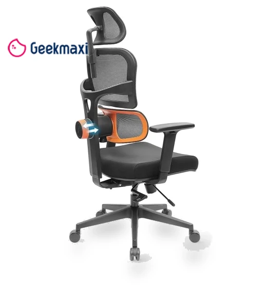 Ergonomic Chair with Adaptive Lower Back Support, Adjustable Armrest and Headrest — Back & Seat Cushions, NEWTRAL