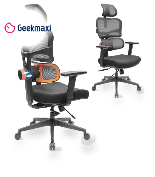 Ergonomic Chair with Adaptive Lower Back Support, Adjustable Armrest and Headrest — Back & Seat Cushions, NEWTRAL