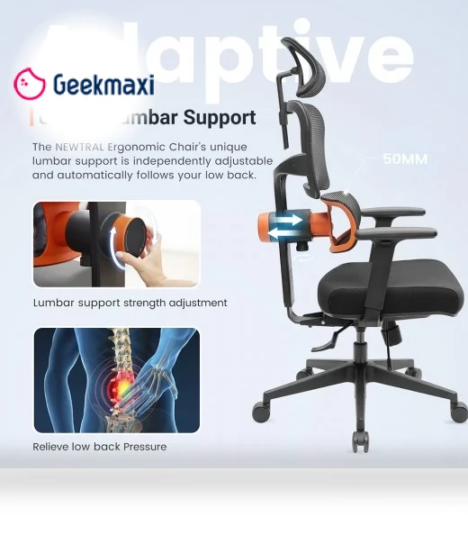 Ergonomic Chair with Adaptive Lower Back Support, Adjustable Armrest and Headrest — Back & Seat Cushions, NEWTRAL