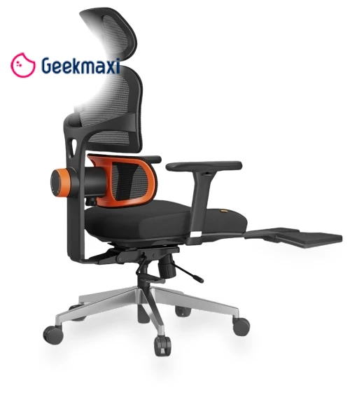 Ergonomic Chair with Lumbar Support, Adjustable Armrest, Headrest, Footrest, 4D Mesh — Back & Seat Cushions, NEWTRAL