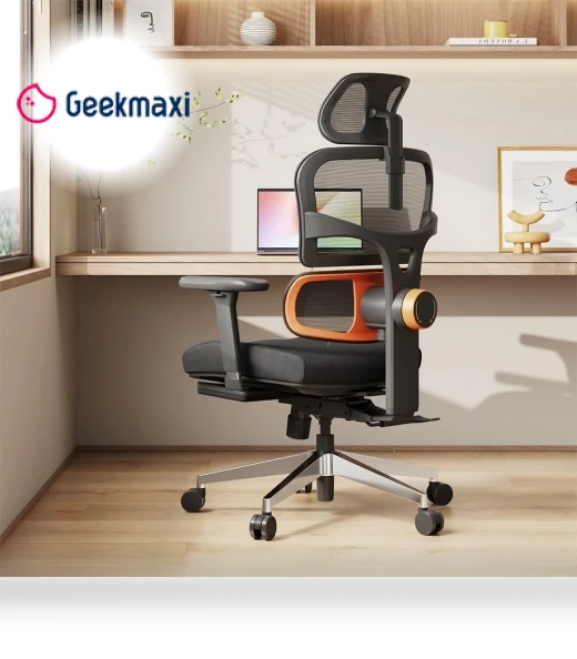 Ergonomic Chair with Lumbar Support, Adjustable Armrest, Headrest, Footrest, 4D Mesh — Back & Seat Cushions, NEWTRAL