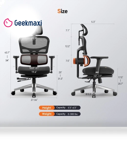 Ergonomic Chair with Lumbar Support, Adjustable Armrest, Headrest, Footrest, 4D Mesh — Back & Seat Cushions, NEWTRAL