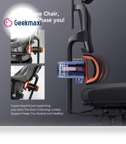 Ergonomic Chair with Lumbar Support, Adjustable Armrest, Headrest, Footrest, 4D Mesh — Back & Seat Cushions, NEWTRAL