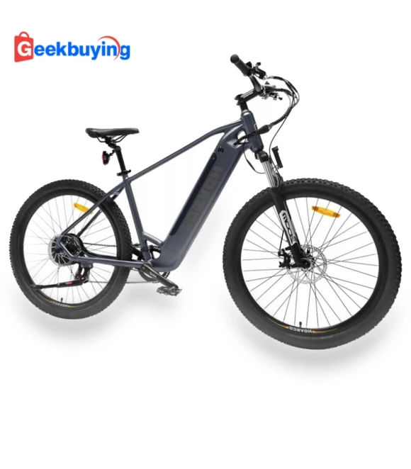 Electric Bike — Electric Self-Balancing Scooters, HAVSCO