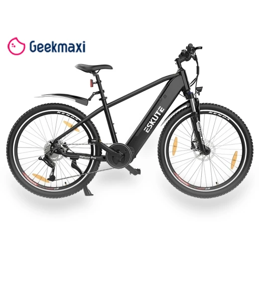 Electric Bike — Electric Self-Balancing Scooters, ESKUTE