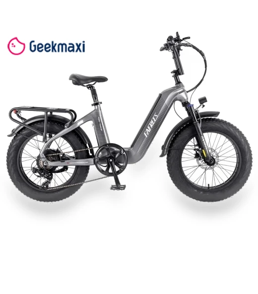 Electric Bike — Electric Self-Balancing Scooters, Fafrees