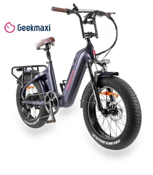 Electric Bike — Electric Self-Balancing Scooters, Fafrees