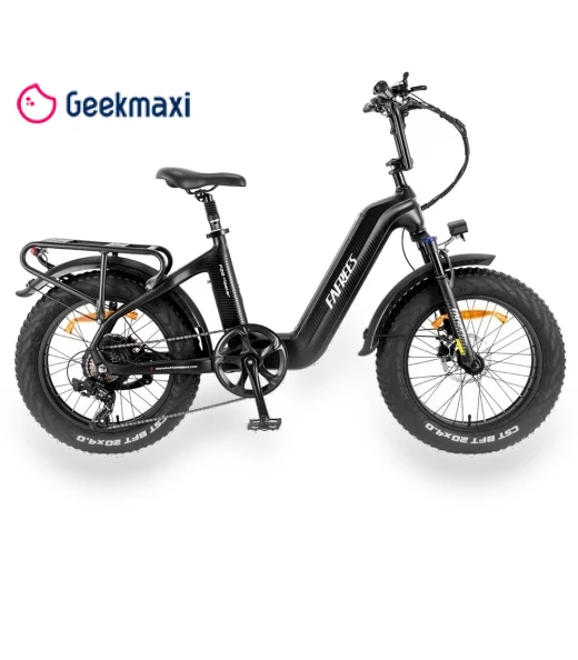 Electric Bike — Electric Self-Balancing Scooters, Fafrees