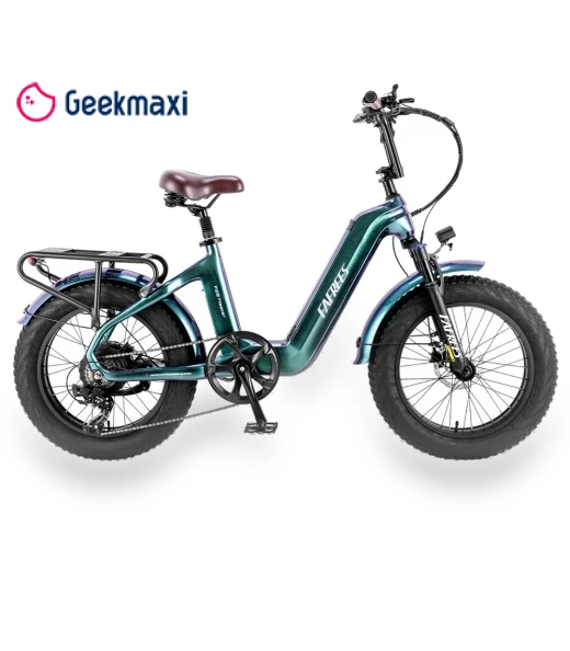 Master Electric Bike — Electric Self-Balancing Scooters, Fafrees