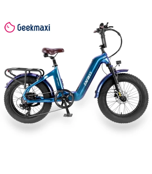 Electric Bike — Electric Self-Balancing Scooters, Fafrees