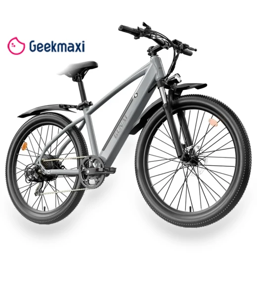 Electric Bike — Electric Self-Balancing Scooters, GUNAI