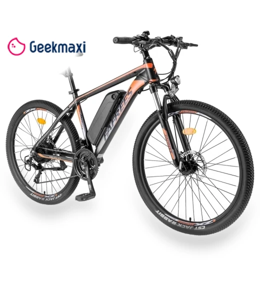 Electric Bike — Electric Self-Balancing Scooters, Fafrees