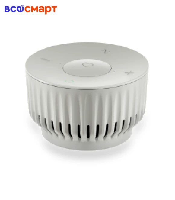 Smart Speaker — Speaker Mounts, Sber