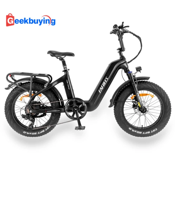 Master E-bike — E-Bikes, Fafrees