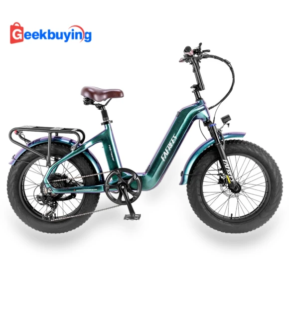Master E-bike — E-Bikes, Fafrees