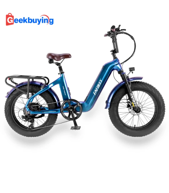 Master E-bike — E-Bikes, Fafrees