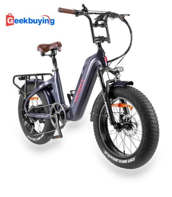 Master E-bike — Electric Self-Balancing Scooters, Fafrees