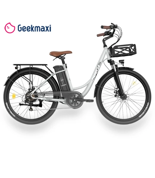 Lasting Electric Bike — E-Bikes, Fafrees
