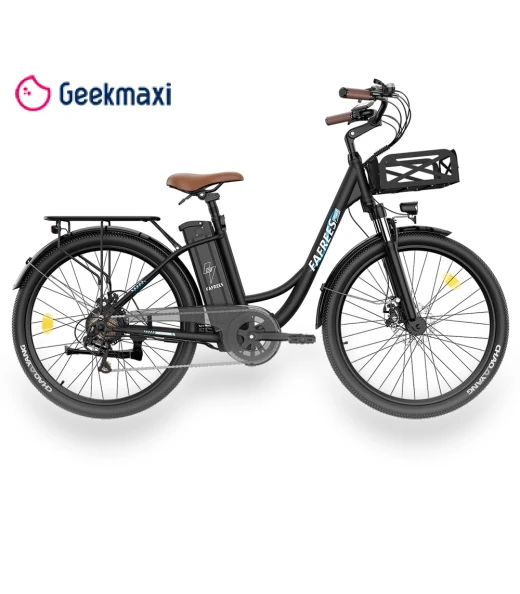 Lasting Electric Bike — Electric Self-Balancing Scooters, Fafrees