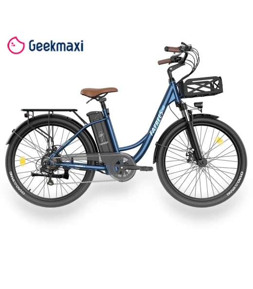 Lasting Electric Bike — Electric Self-Balancing Scooters, Fafrees
