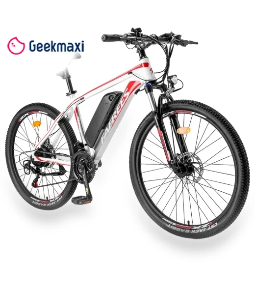 Electric Bike — Electric Self-Balancing Scooters, Fafrees