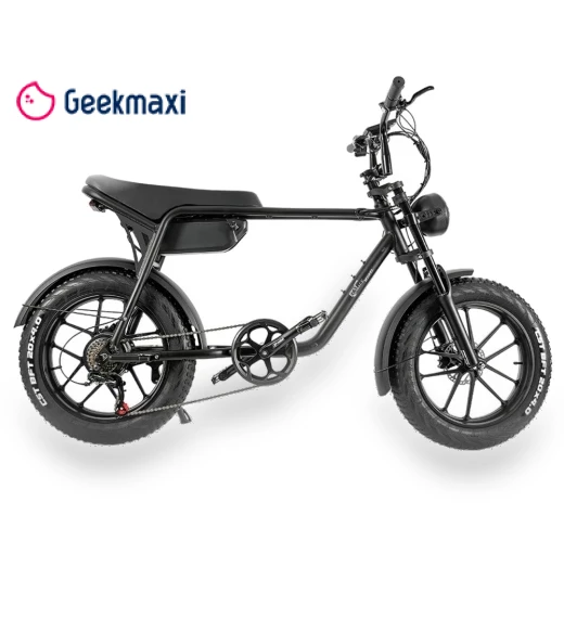 Electric Bike — Electric Self-Balancing Scooters, CMACEWHEEL