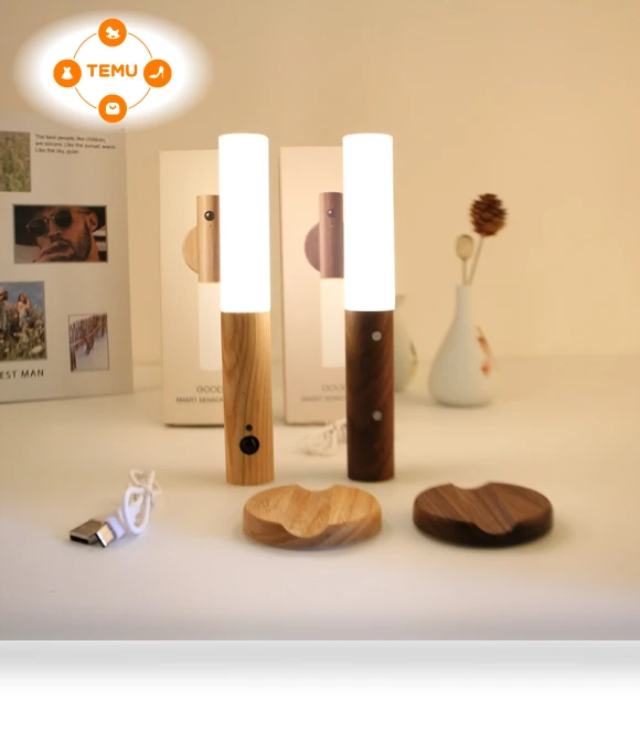 USB Rechargeable LED Motion Sensor Night Light — Night Lights