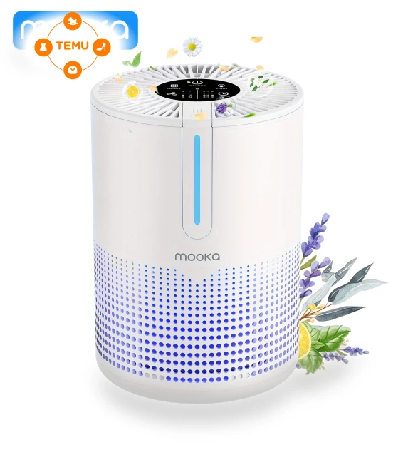 H13 Filter Portable Air Purifier for Smell and Odors — Portable Air Purifiers, Mooka