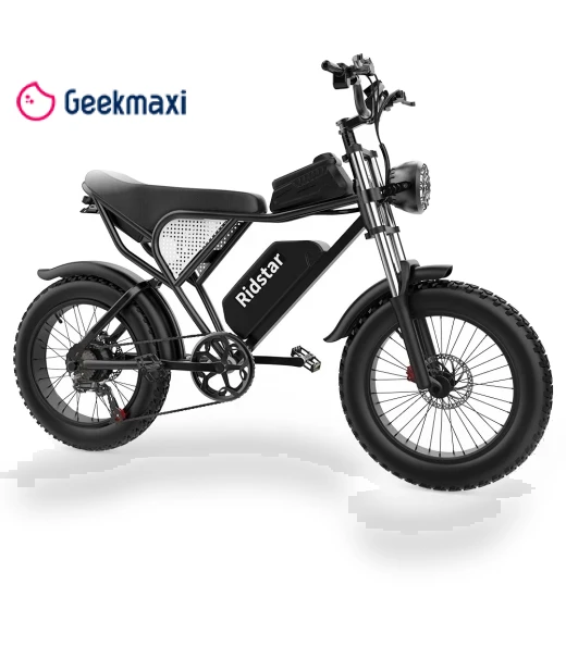 Electric Bike — Electric Self-Balancing Scooters, Ridstar