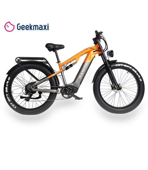 Electric Bike — Electric Self-Balancing Scooters, RANDRIDE