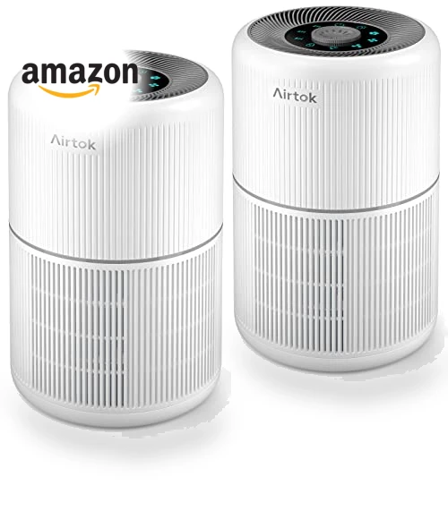 2 Pack H13 True HEPA Air Purifier for Home, Bedroom, Smoke, Dust, Odors, Pollen, Pet Dander — Electrostatic Air Purifiers, AIRTOK