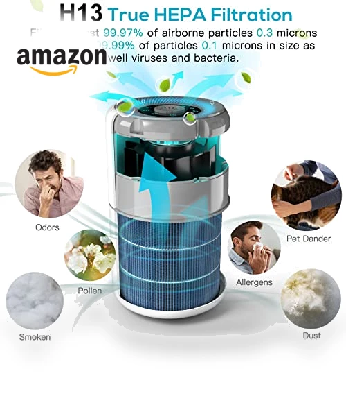 2 Pack H13 True HEPA Air Purifier for Home, Bedroom, Smoke, Dust, Odors, Pollen, Pet Dander — Electrostatic Air Purifiers, AIRTOK