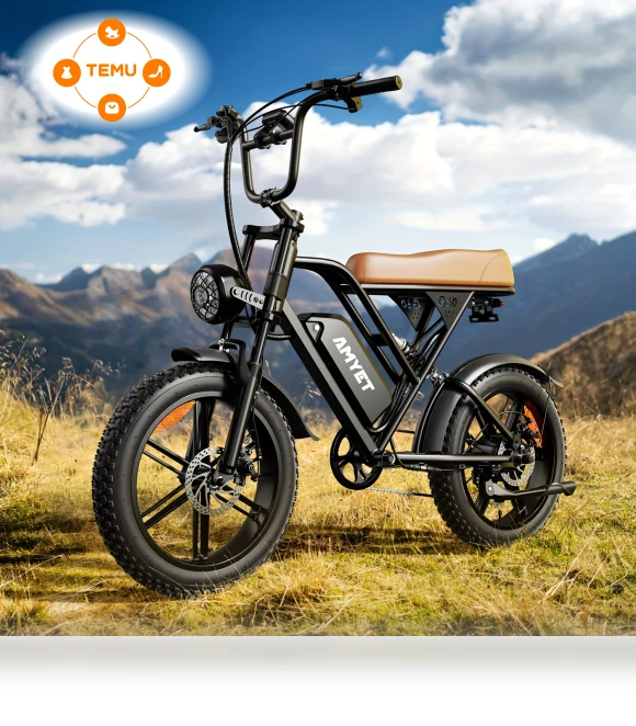 V9-g60 Electric Mountain Bike with Removable Battery, 20"x4.0 Fat Tire — E-Bikes, Amyet