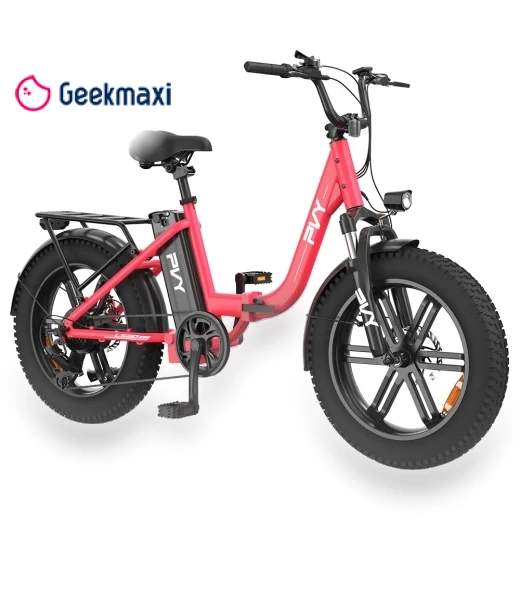 Electric Bike — Electric Self-Balancing Scooters, PVY