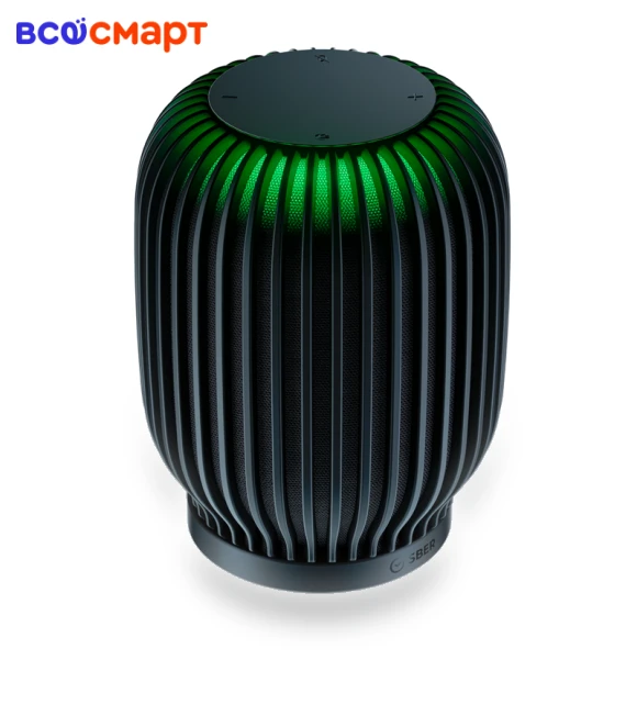 Smart Speaker — Portable Sound Systems, Sber