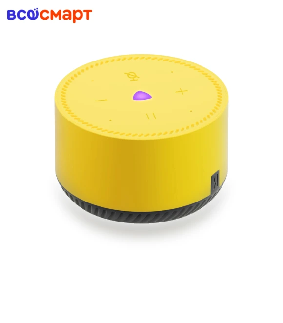 Smart Speaker — Whole-Home Audio Systems, Yandex
