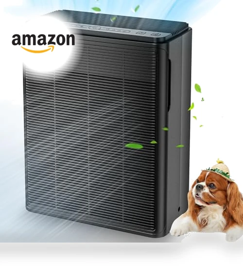 Large Room Air Purifier with H13 HEPA Filter for Pets, Smoke, and Odor — Electrostatic Air Purifiers, AIUZLK
