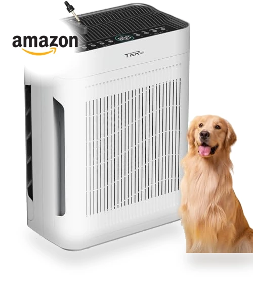 Large Room Air Purifier with H13 HEPA Filter and PM 2.5 Sensor — Electrostatic Air Purifiers, TERAIR