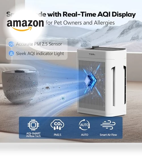 Large Room Air Purifier with H13 HEPA Filter and PM 2.5 Sensor — Electrostatic Air Purifiers, TERAIR