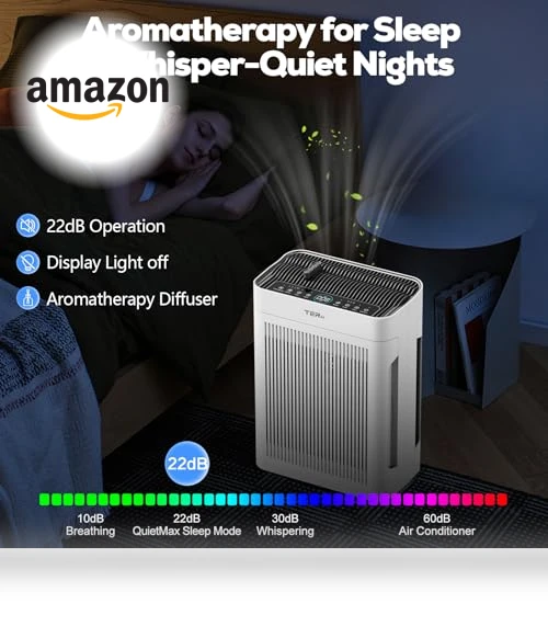 Large Room Air Purifier with H13 HEPA Filter and PM 2.5 Sensor — Electrostatic Air Purifiers, TERAIR