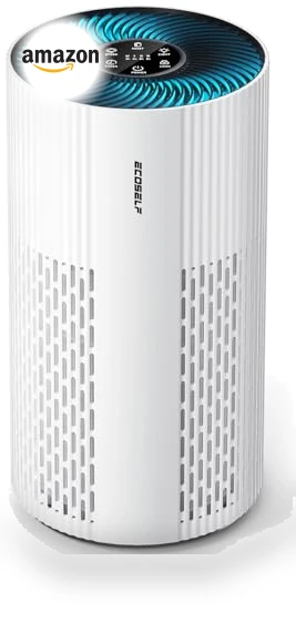 Large Room Air Purifier with HEPA Filter and Sleep Mode — Electrostatic Air Purifiers, ECOSELF