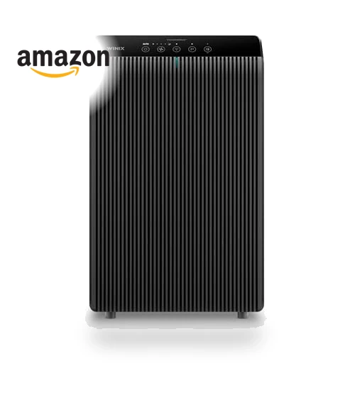 Air Purifier for Home Large Room, True HEPA, High Deodorization Carbon Filter, Auto Mode — Activated Carbon Air Purifiers, Winix