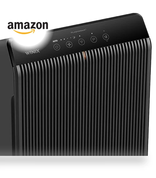 Air Purifier for Home Large Room, True HEPA, High Deodorization Carbon Filter, Auto Mode — Activated Carbon Air Purifiers, Winix