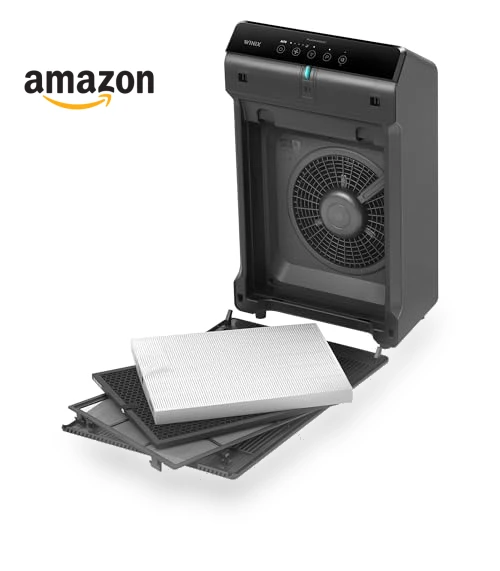 Air Purifier for Home Large Room, True HEPA, High Deodorization Carbon Filter, Auto Mode — Activated Carbon Air Purifiers, Winix