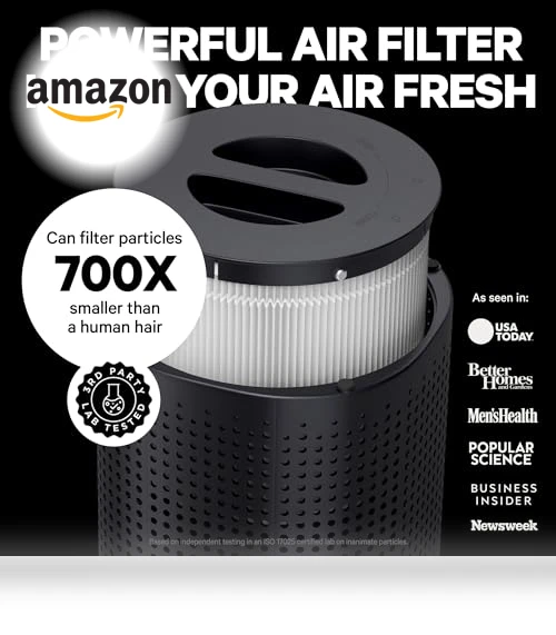 HEPA Air Purifier for Large Rooms Up To 1,000 Sq Ft — Air Ionizers, PuroAir