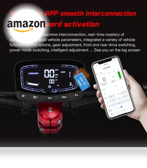 6000W High-Speed Electric Scooter with 75 Miles Range — Electric Self-Balancing Scooters, Ornped