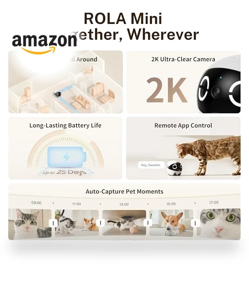 Movable Pet Camera Robot with 2K Resolution and Night Vision — Security & Surveillance Robots, Enabot
