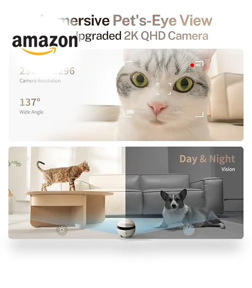 Movable Pet Camera Robot with 2K Resolution and Night Vision — Security & Surveillance Robots, Enabot
