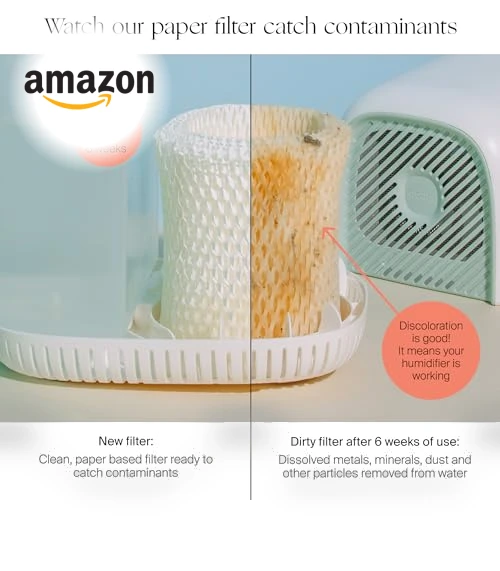 Bedside Humidifier - 36 HR Run Time, 2.5L Capacity, Aroma Diffuser — Air Moisturizers, Canopy